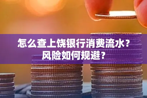 怎么查上饶银行消费流水?风险如何规避?