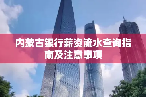 内蒙古银行薪资流水查询指南及注意事项