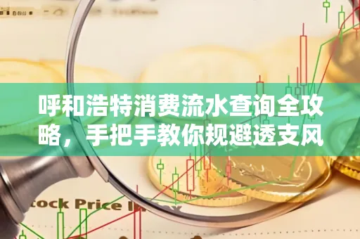 呼和浩特消费流水查询全攻略,手把手教你规避透支风险