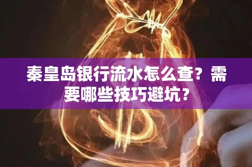 秦皇岛银行流水怎么查?需要哪些技巧避坑? 秦皇岛银行流水怎么查?需要哪些技巧避坑?