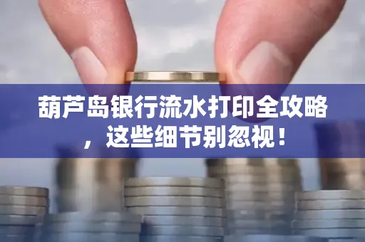 葫芦岛银行流水打印全攻略,这些细节别忽视!