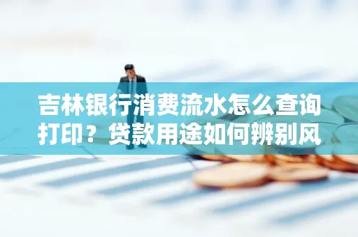 吉林银行消费流水怎么查询打印?贷款用途如何辨别风险?