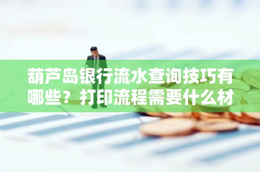葫芦岛银行流水查询技巧有哪些?打印流程需要什么材料避免贷款风险