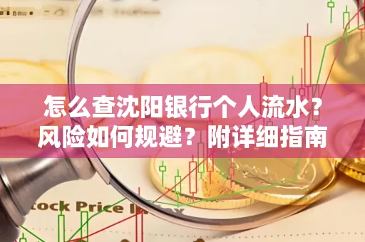 怎么查沈阳银行个人流水?风险如何规避?附详细指南