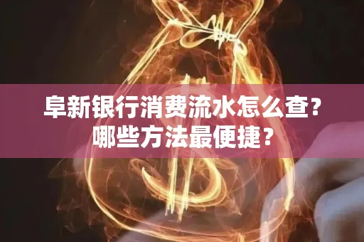 阜新银行消费流水怎么查?哪些方法最便捷?