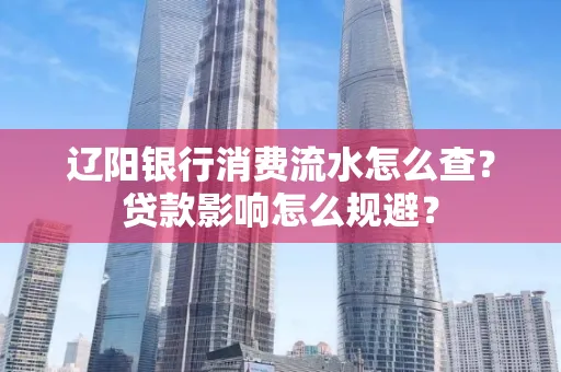 辽阳银行消费流水怎么查?贷款影响怎么规避?