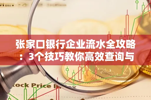 张家口银行企业流水全攻略:3个技巧教你高效查询与风险规避