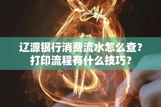 辽源银行消费流水怎么查?打印流程有什么技巧?
