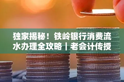 独家揭秘!铁岭银行消费流水办理全攻略|老会计传授防诈技巧