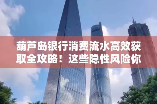 葫芦岛银行消费流水高效获取全攻略!这些隐性风险你必须知道