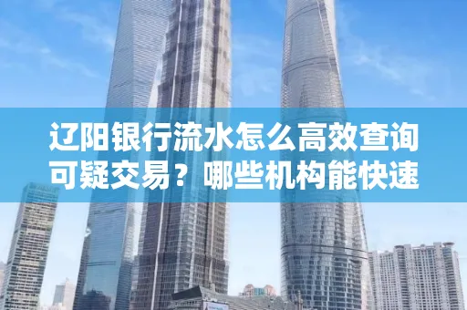辽阳银行流水怎么高效查询可疑交易?哪些机构能快速分析账单风险?