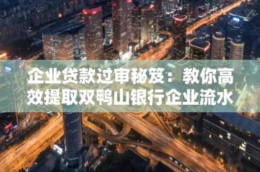 企业贷款过审秘笈:教你高效提取双鸭山银行企业流水