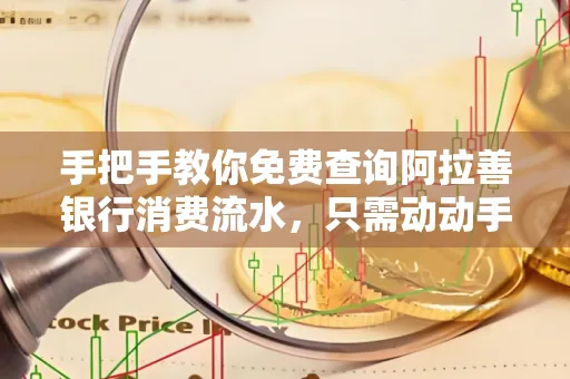 手把手教你免费查询阿拉善银行消费流水,只需动动手指就能完成