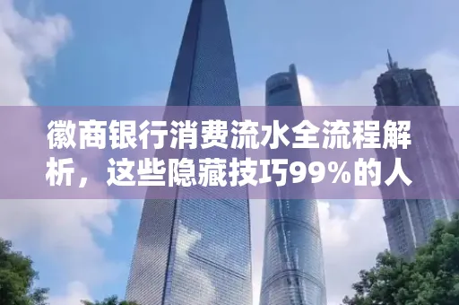 徽商银行消费流水全流程解析,这些隐藏技巧99%的人不知道