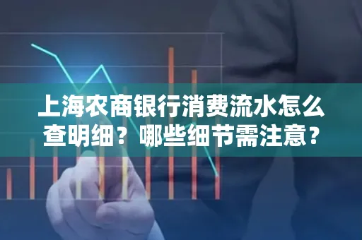 上海农商银行消费流水怎么查明细?哪些细节需注意?
