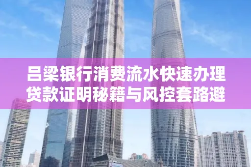 吕梁银行消费流水快速办理贷款证明秘籍与风控套路避坑指南