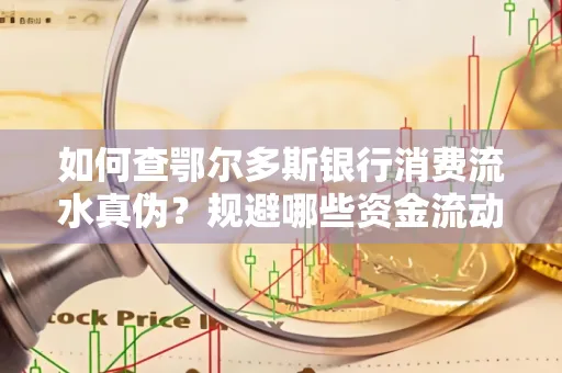 如何查鄂尔多斯银行消费流水真伪?规避哪些资金流动风险?防范要点解析