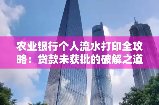农业银行个人流水打印全攻略:贷款未获批的破解之道
