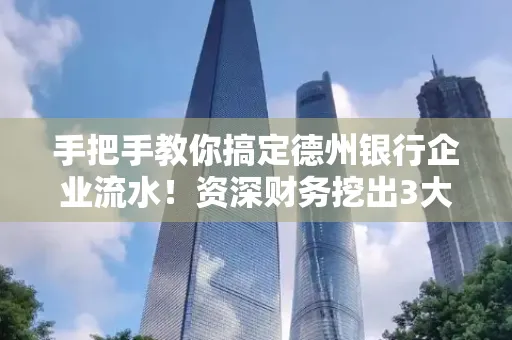 手把手教你搞定德州银行企业流水!资深财务挖出3大隐藏风险点