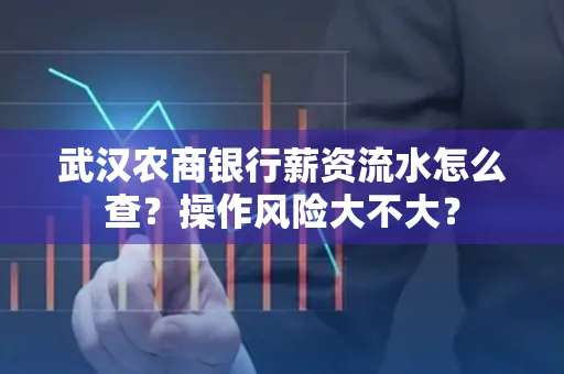 武汉农商银行薪资流水怎么查?操作风险大不大?