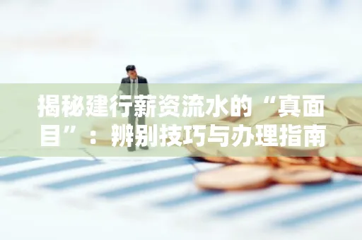 揭秘建行薪资流水的“真面目”:辨别技巧与办理指南大公开