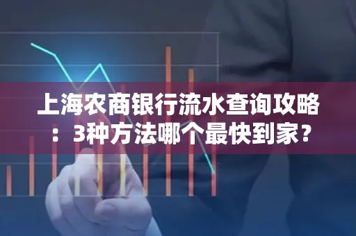 上海农商银行流水查询攻略:3种方法哪个最快到家?