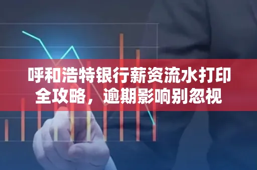 呼和浩特银行薪资流水打印全攻略,逾期影响别忽视