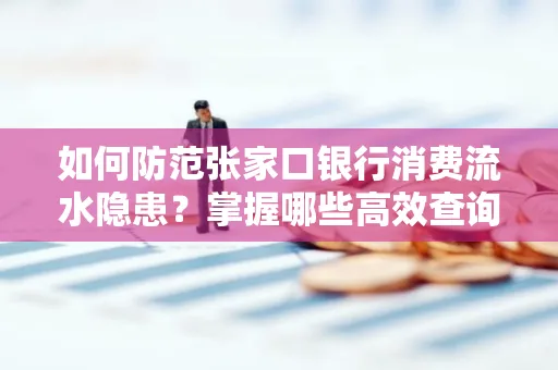 如何防范张家口银行消费流水隐患?掌握哪些高效查询技巧?
